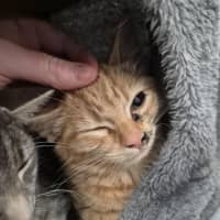 Photo of Captain! 🏴‍☠️ 