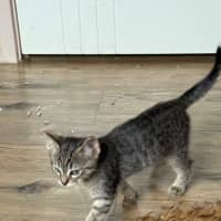 Photo of Zach   Meet Me At Petstock Hastings