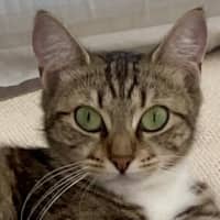 Photo of Bonny