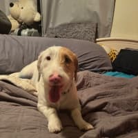 Photo of Zig