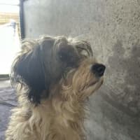 Photo of Storm