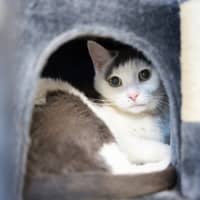 Photo of Louis