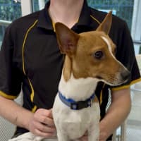 Photo of Max