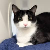 Photo of Melina & Marlo