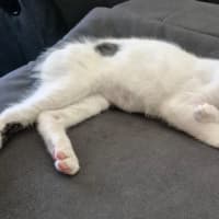 Photo of Clara