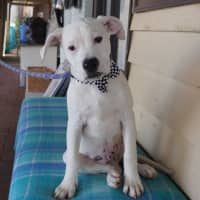 Photo of Nyx