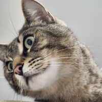 Photo of 🫶 Rudy 6712 🫶