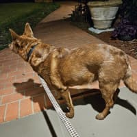 Photo of Sasha