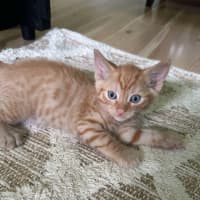 Photo of Gus