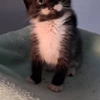 Photo of Larry