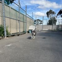 Photo of Tane