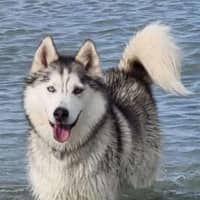 Photo of Ghost & Mirri