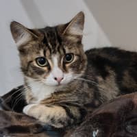 Photo of Lola