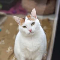 Photo of Paloma