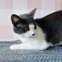 Photo of Bonnie   Located In Preston