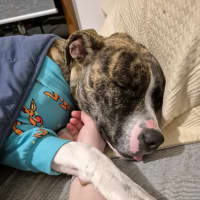 Photo of Cenric Riley