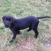 Photo of Hattie