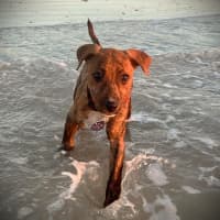 Photo of Candy