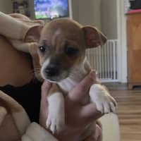 Photo of Maggie