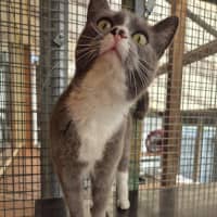 Photo of Mary! 🕊️