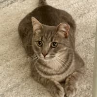 Photo of Blueberry