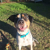 Photo of Dottie