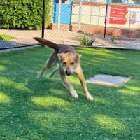 Photo of Jenny