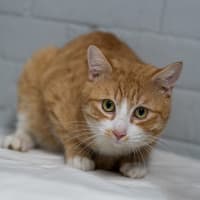 Photo of Arthur
