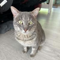 Photo of Vincent