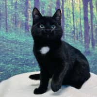 Photo of Skye   Located In Preston