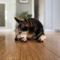 Photo of Miguel Kumara