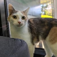 Photo of Bronte