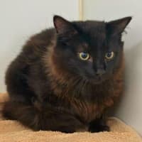 Photo of Haru