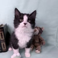 Photo of Gracie May 🌷