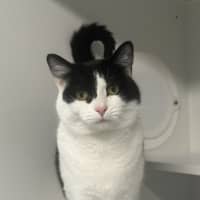 Photo of Octavia