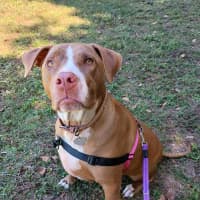Photo of Xena