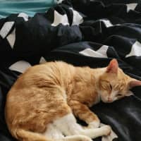 Photo of Julio