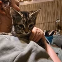 Photo of Agnes Addams