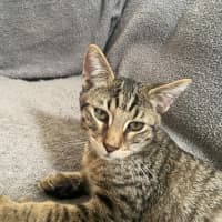 Photo of Fred (Weasley) Of Harry Potter Fame