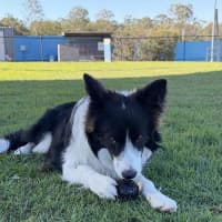 Photo of Fidget