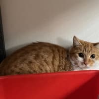 Photo of Kaz