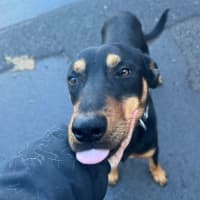 Photo of Pirate Jeff