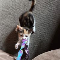 Photo of Sophie