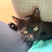 Photo of Jasper