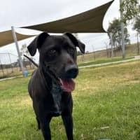 Photo of Phy (Phoebe Buffay)