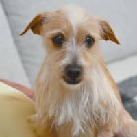 Photo of Jolene