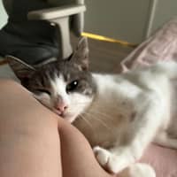 Photo of Alice