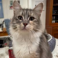Photo of Lucy