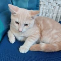 Photo of Rudolph 🦌