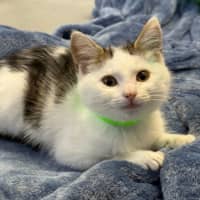 Photo of Aurora